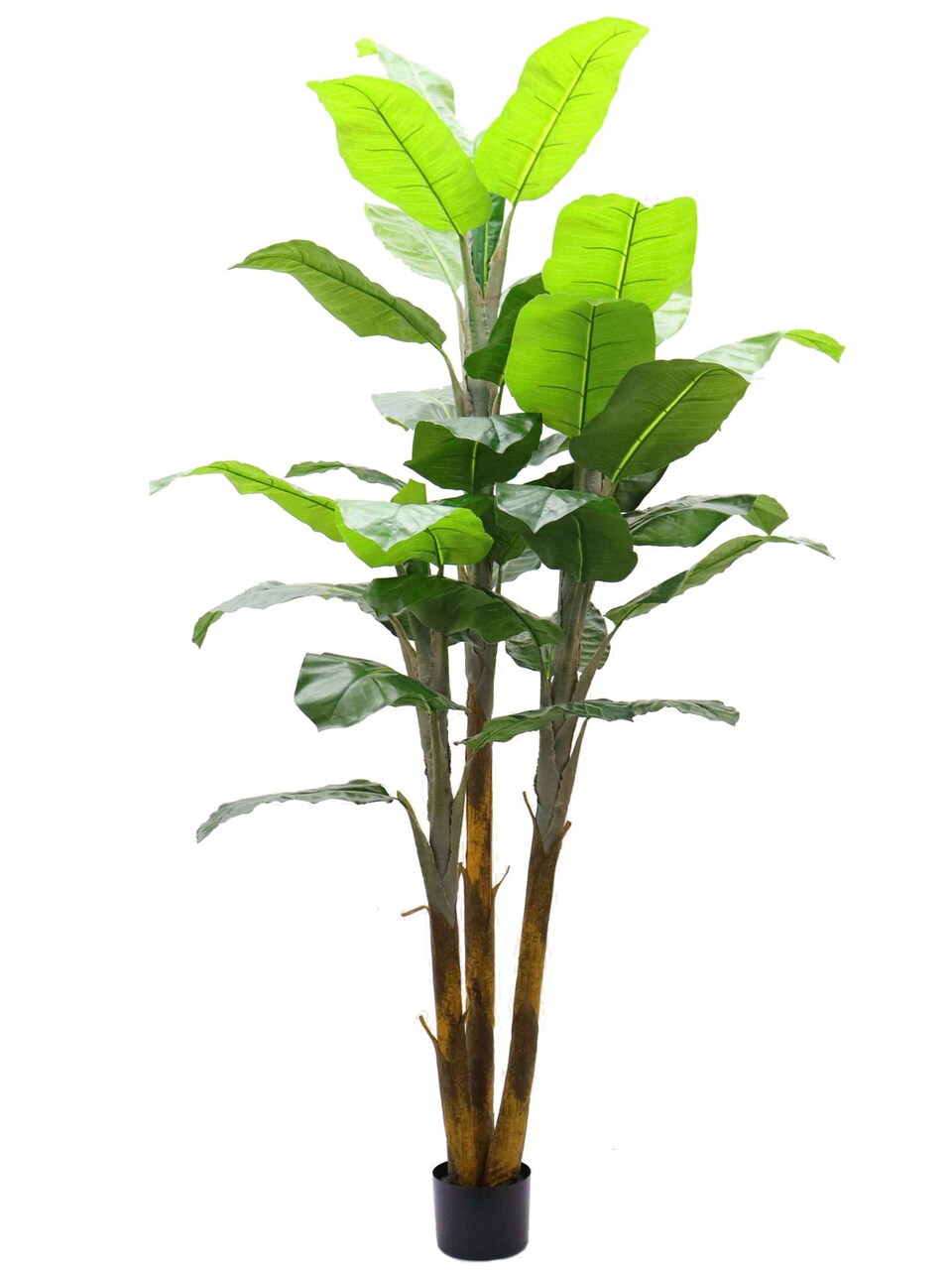 7ft Artificial Banana Tree - Premium Faux Tropical Plant, Ideal for Elegant Home or Office Décor, Floral Home by Artificial Flowers